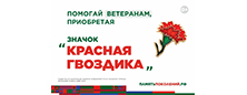 Акция Красная гвоздика